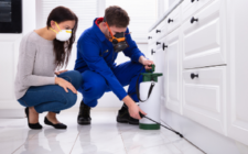 Pest Control Services