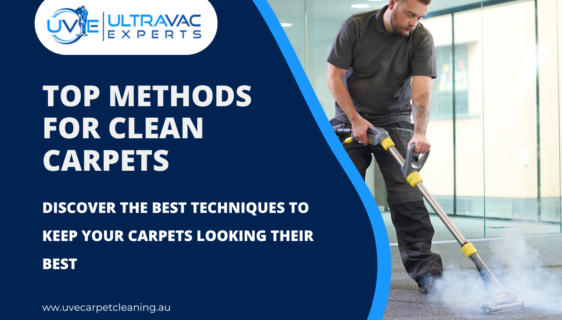 Cleaning Carpets