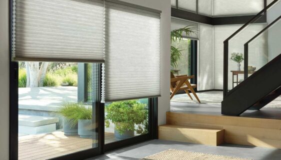 Window Blinds