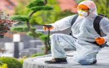 Pest Control