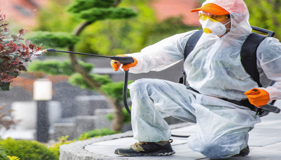 Pest Control