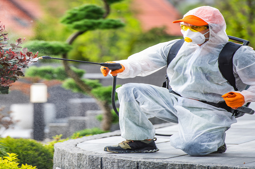 Pest Control