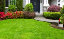 residential landscape services