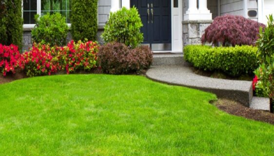 residential landscape services