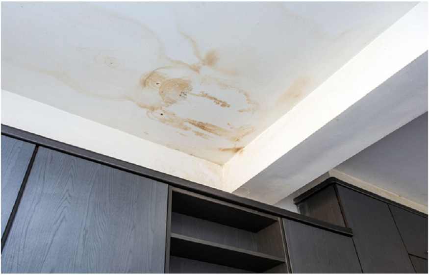 Water Damage Restoration Newton MA