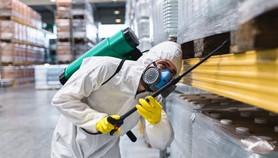 best pest control company