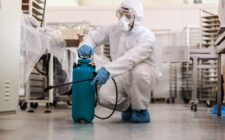 best pest eliminators