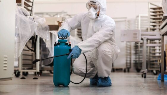 best pest eliminators