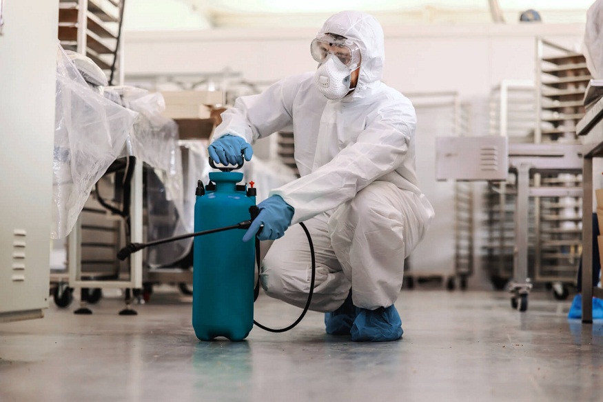 best pest eliminators