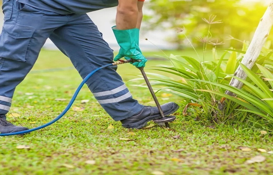 Greenpestservices