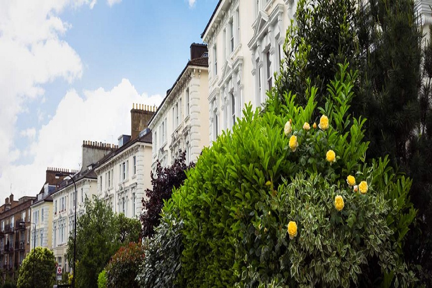 letting agents in Belsize Park